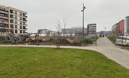 2024-12-blick-zur-brücke